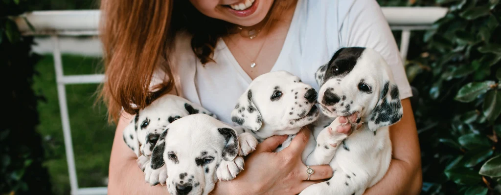 dálmata, características y cuidados mujer con cachorros