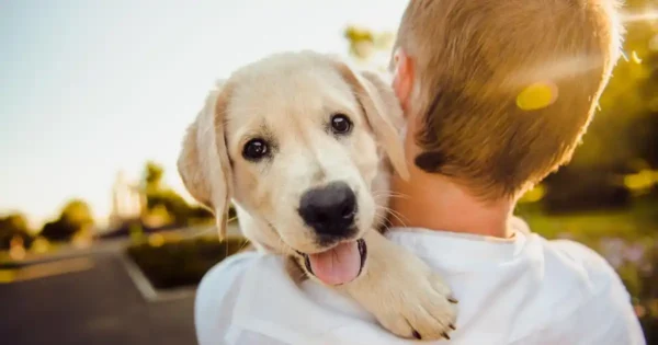 Aumenta el Vínculo con tu Perro