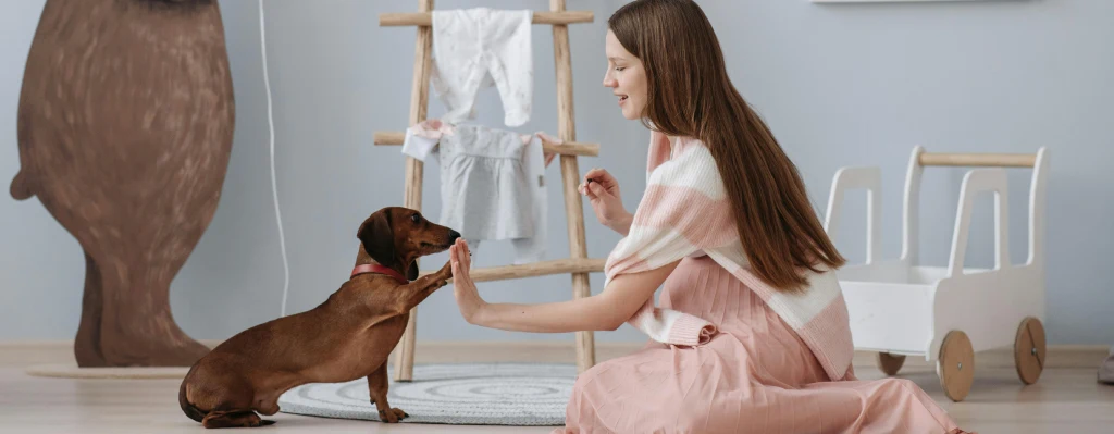 perrito dando la pata a su tutora