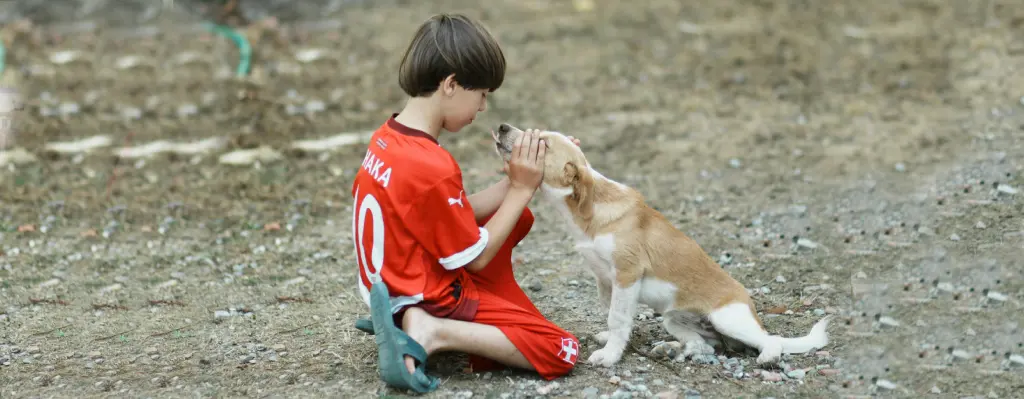 Perro de servicio