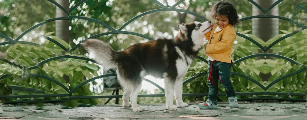 Relación de parásitos Perros y niños