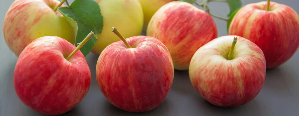 qué es la dieta barf para perros manzana