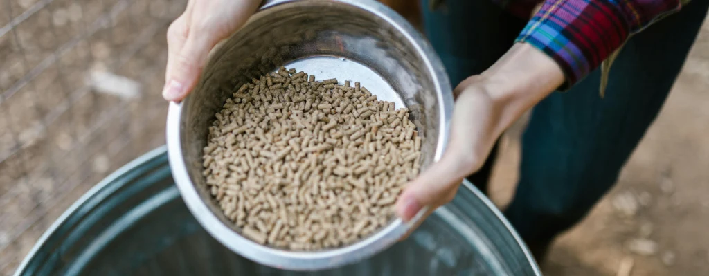qué es la dieta barf para perros pienso