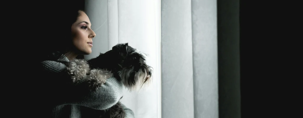 Schnauzer Miniatura adiestramiento