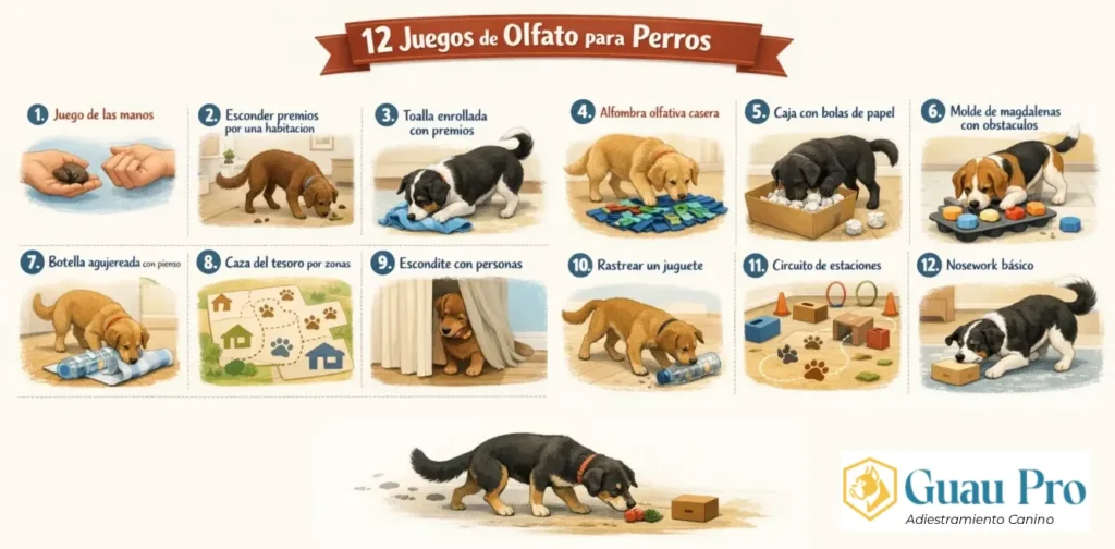 12 juegos de olfato para perros