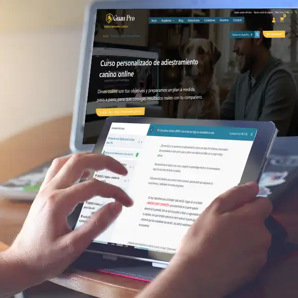 curso-personalizado-de-adiestramiento-canino-online