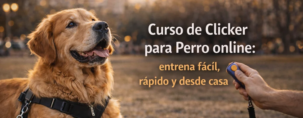 curso clicker para perro online: entrena fácil, rápido y desde casa