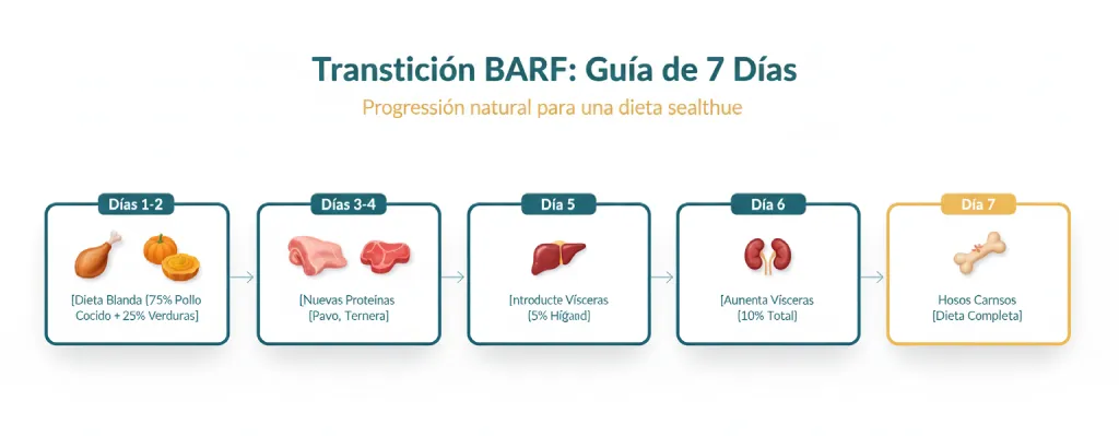 esquema de 7 dias de la dieta barf