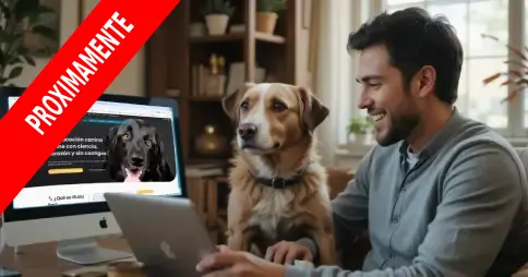 Mentoría Personalizada en Videoconferencia – Transforma la educación de tu perro en 40 minutos