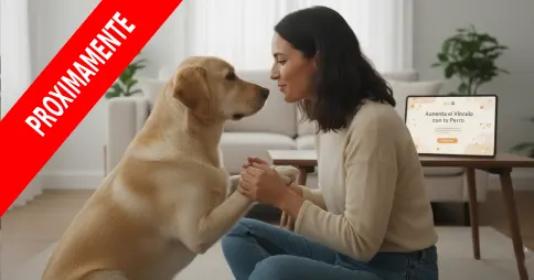 Curso para mejorar el vínculo con tu perro: conecta, entiende y refuerza vuestra relación