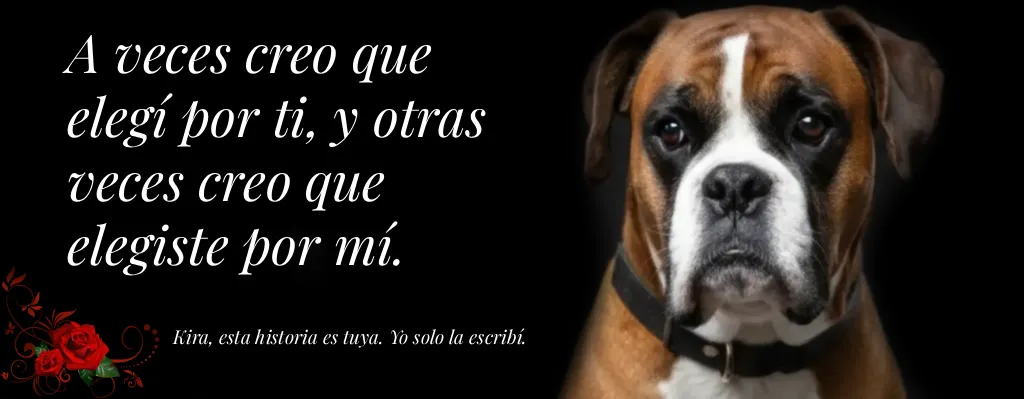 caracter-de-los-boxers