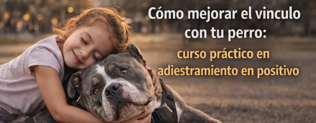 cómo mejorar el vínculo con tu perro: curso práctico en adiestramiento en positivo